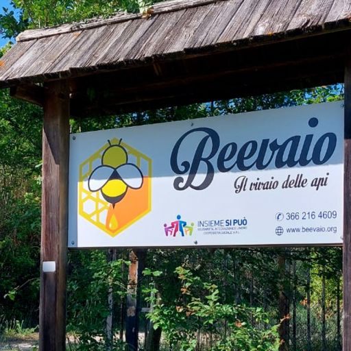 logo-ingresso logo-ingresso